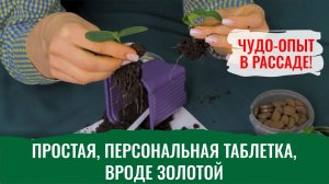 Биотаблетка АС-35 – мощный БИОСТАРТ - на рассаде ставит рекорды