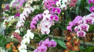 С праздником 8 Марта от всей души всех женщин поздравляю!