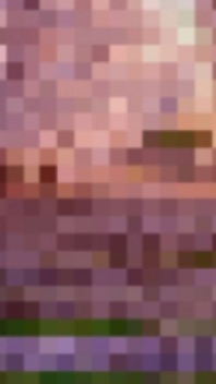 мр дракончик и miskas трек зачем на 1 год канала