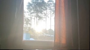 Как я деда учил уму разуму ТЕМА ДНЯ