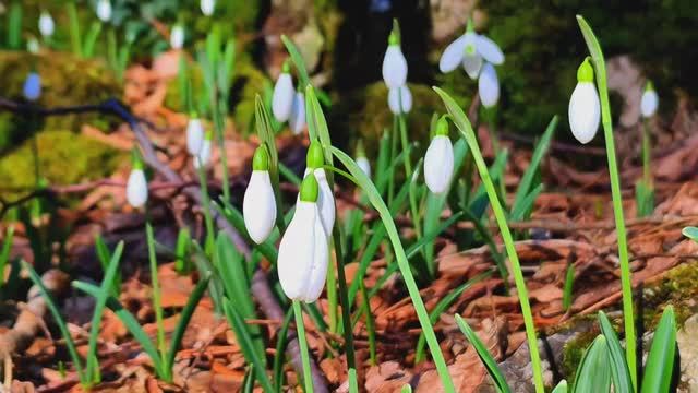 Река Люка 27.02.26