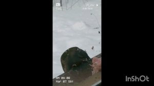 ПРОДОЛЖАЕМ ПОДДЕРЖКУ ДЯТЛАМ