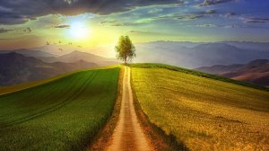 Продажа недвижимости.....