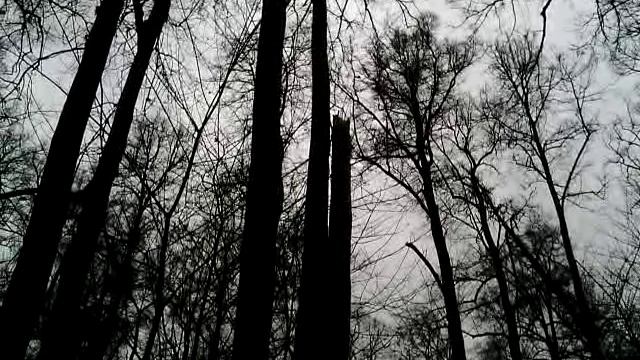 025 2016.01.30_11.46.27