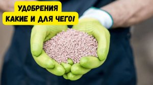 Основные удобрения для растений на огороде- понятный разбор