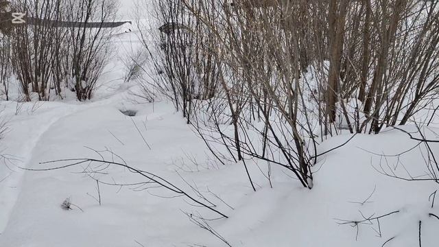 Родники деревни Тябердино-Челны.