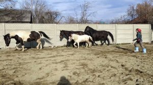 Зарик-это отдельный вид искусства!