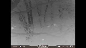 Охота на кабана с вышки