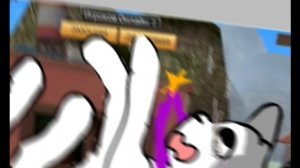 Dog sinylator animal life