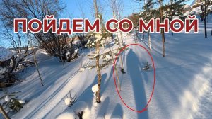 Пойдем со мной в Гараж, Ножики Наточим, Погуляем по Полям, по болтаем.