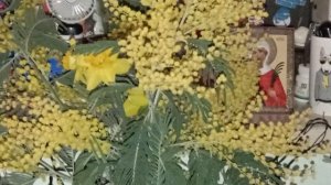 с праздником вас с (8) мартом пасматри 👍👍👍👍👍👍