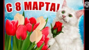 На 8 Марта Я поздравлю Вас мои Родные, ДОРОГИЕ ЖЕНЩИНЫ...