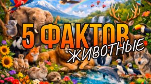 5 ИНТЕРЕСНЫХ ФАКТОВ // ЖИВОТНЫЕ