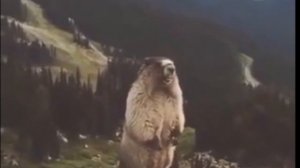 Я ВЕРНУЛСЯ!!!!!