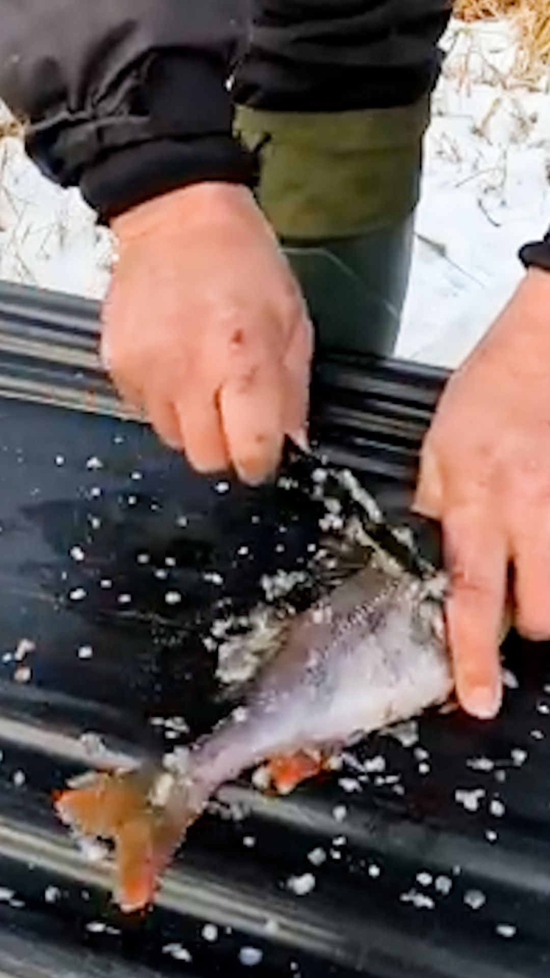 Сам Поймал и Сам приготовил Обед