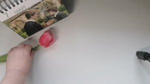 Мой вышивальный февраль 2026, продвижения, покупки, обзор, намерения)))