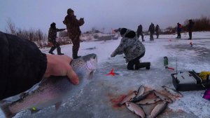 Установил Поставушки с Пастой и Поймал Вкусную Форель. Лучшая Зимняя рыбалка 2026. Русская Рыбалка