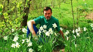 Какое было прекрасное лето в 2009 году ( Слайд-шоу. Мои фотографии из архива )