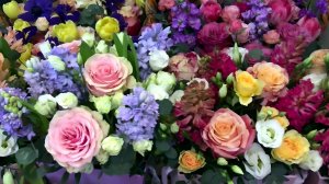 Дорогие женщины, с 8 Марта 2026!