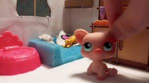 я сделала новую комнату для LPS😊😊💯💯💞💞✨✨