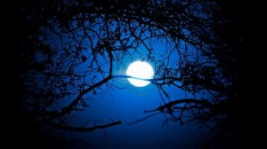 Как во сне. Необыкновенно красивая песня Для души и дискотеки