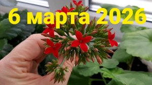 6 марта, будни в Белгородской области