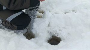 Рыбалка.Форель,Окунь ..