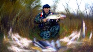 Удивительная рыбалка на Волжских раскатах. Добрые традиции базы "Щукарь". Часть 2.