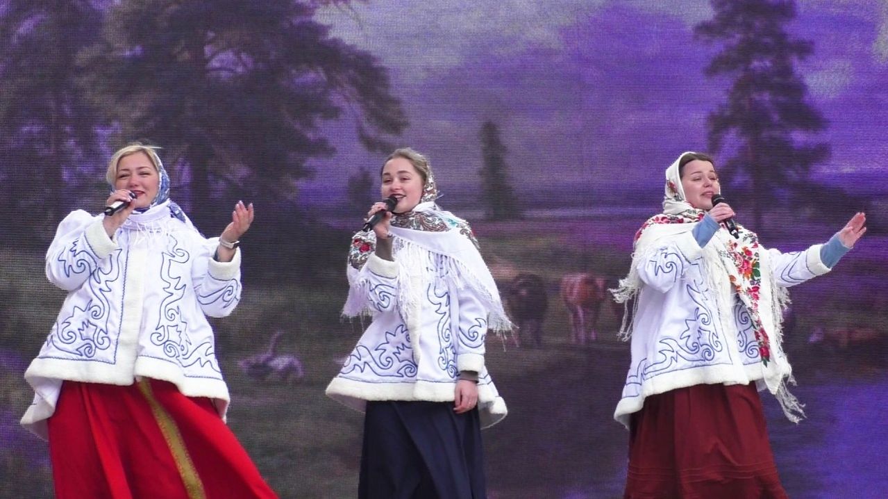 Масленица в парке "Ёлочки". Витёр - "Гармошка" (22.02.26)