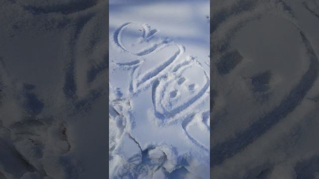 теггинг в солнечный день!