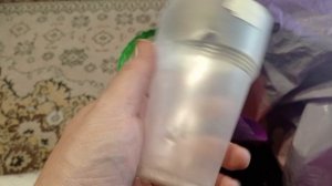 Посеяла гномов. Что добавила в грунт