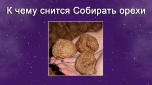 К чему снится Собирать орехи - толкование сна