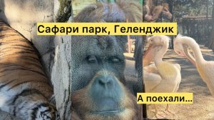 Геленджик. Сегодня нужно. А обезьяна то умная. Сафари парк 2026.