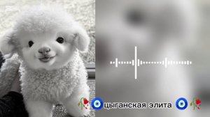 новая 🧿🥀цыганская песня 2026 года для настроение ✌️😉 зорики бахторики  Шон патписка  🧿🥀