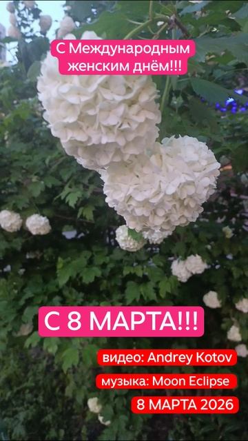 С Международным Женским Днём!!! С 8 МАРТА!! #8марта смотреть онлайн