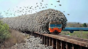 Нечто Странное Происходит по Всему Миру... Никто не Знает Почему!!!