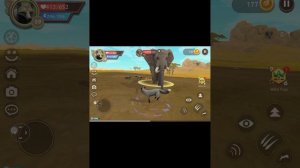 Прокачка лисы (день 2)