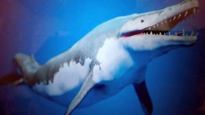 предки китов