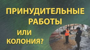 ПРИНУДИТЕЛЬНЫЕ РАБОТЫ это ТРУДОВОЕ ОБЩЕЖИТИЕ для осужденых. Альтернатива ЛС
