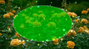 Футаж. Фон для надписи 133