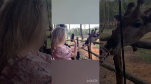 Фукуок. Сафари парк