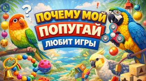 ПОЧЕМУ МОЙ ПОПУГАЙ ЛЮБИТ ИГРЫ