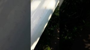 топлю свой новый корвбль из картона