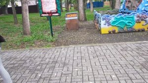 9 мая. В парке. 2021г.