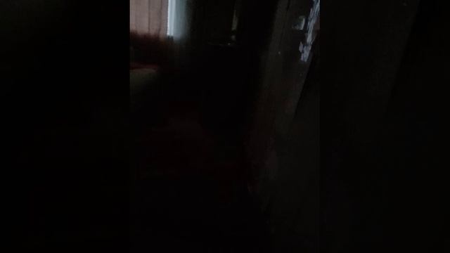 Йцукефанд Акундерфакт Фильм 2026