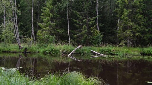 ПЕТЯЯРВИ.