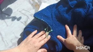 Бинго 2026. отчёт зима.