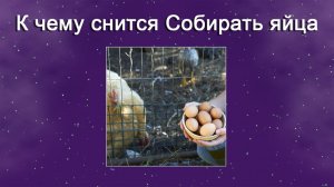 К чему снится Собирать яйца - толкование сна