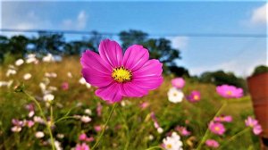 Одиночество