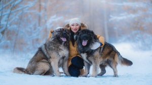 Игорь Алтайский. Отзыв.